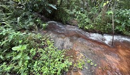 Rota do Cacau amplia ecoturismo e preservação ambiental em Matriz de Camaragibe