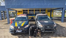 PRF e PM/AL em operação conjunta, apreendem mais de 15 kg de maconha em São Sebastião