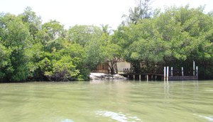 Alagoas perdeu 14% de manguezal em 17 anos