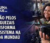 Paixão pelos manguezais protege ecossistema na Lagoa Mundaú