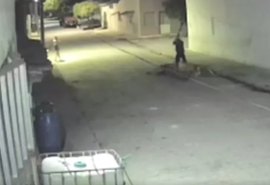 Homem é espancado a pauladas em via pública em Ouro Branco