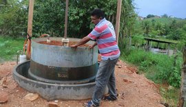 Agricultor produz biogás com fezes de porco