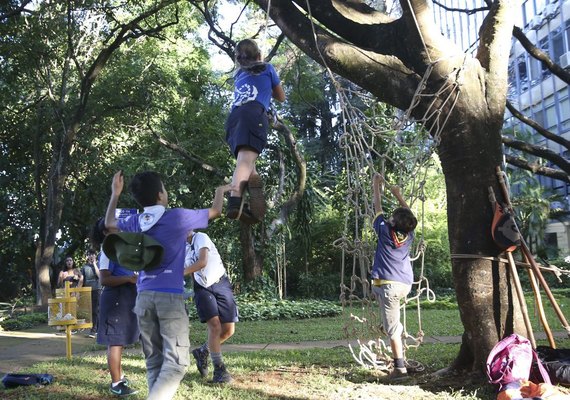 Organização não governamental WWF promove eventos em cinco cidades brasileiras
