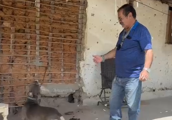 Polícia Civil resgata cães vítimas de maus-tratos em Dois Riachos