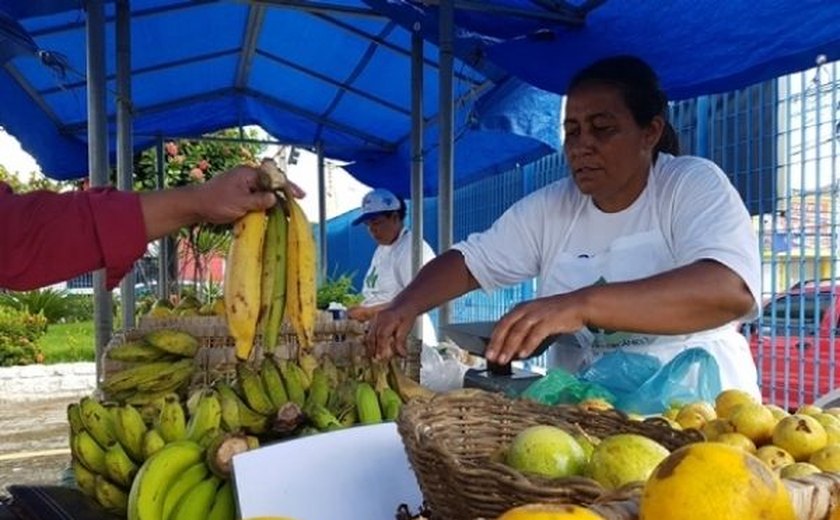 Governo promove 4ª edição da Feira Orgânica nesta terça (7) na Semarh