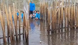 Soltura de 2 peixes-boi no Santuário do Rio Tatuamunha é uma marca de sucesso da política de conversação do ICMBio