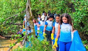 Estudantes participam de atividades em manguezal