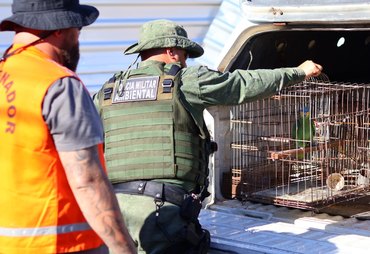 Centenas de animais silvestres resgatados pela FPI do São Francisco voltam para a natureza