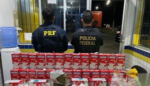 Operação conjunta apreende mais de 28 kg de drogas em São Sebastião
