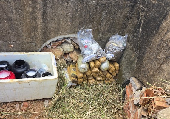 Polícia Civil incinera drogas apreendidas em Palmeira dos Índios