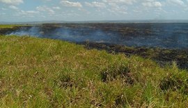 Incêndio atinge vegetação de fazenda em Limoeiro de Anadia