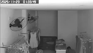 Loja é arrombada pela terceira vez na Rua 30 de Outubro