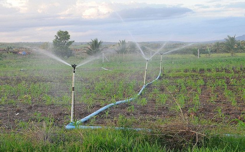 Codevasf apresenta contribuições para a agricultura irrigada em Alagoas