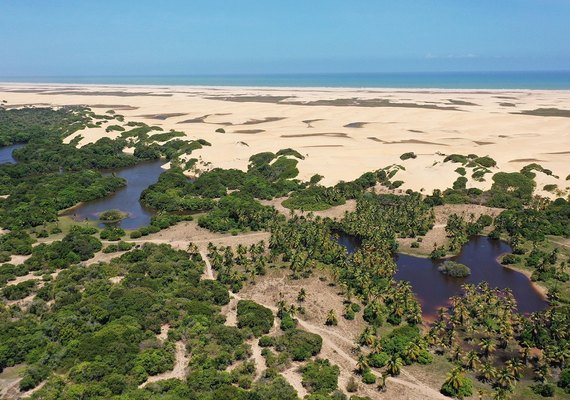 MPF recomenda medidas à Prefeitura de Piaçabuçu para proteger a biodiversidade no Carnaval