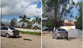Polícia Civil vai investigar suposta denúncia de maus-tratos a um cachorro na parte alta de Maceió
