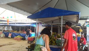 Programação cultural recheada e comida sem veneno, Feira Agroecológica Novo Jardim está de volta