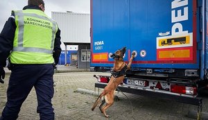 Dezesseis migrantes são encontrados em caminhão na Holanda