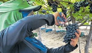 Turismo rural e familiar avança no interior de Alagoas