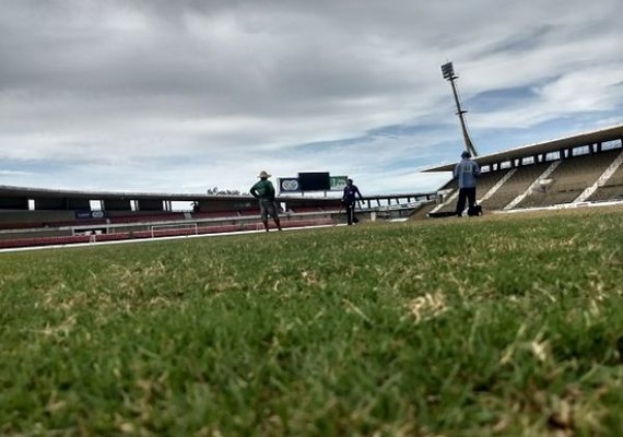 Gramado do Rei Pelé passará por tratamento especial para sequência da temporada