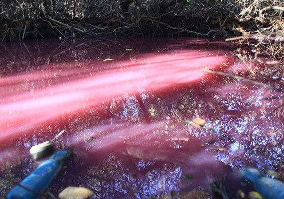 IMA coleta amostras de água em riacho no Litoral Norte de Maceió