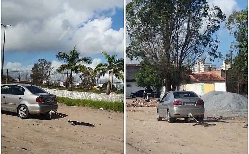 Polícia Civil vai investigar suposta denúncia de maus-tratos a um cachorro na parte alta de Maceió