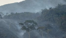 Incêndio em área de pasto de fazenda atinge Estação Ecológica de Murici