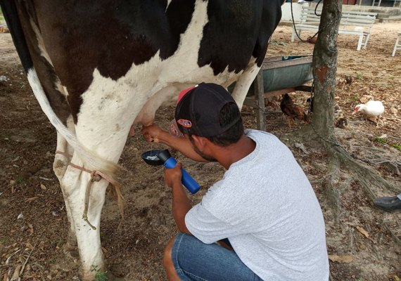Projeto Mais Leite Saudável atende pequenos produtores de Mar Vermelho e Cajueiro
