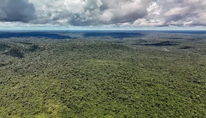 Fazenda autoriza crédito de US$ 1 bilhão do BID para Eco Invest Brasil