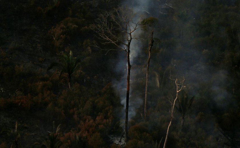 Amazônia: Operação Verde Brasil aplicou quase R$ 100 milhões em multas