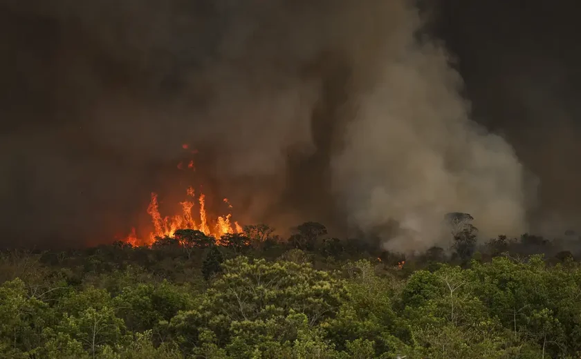 Queimadas fazem desmatamento crescer 92% na Amazônia