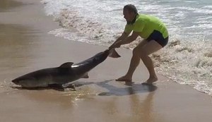 Homem tenta salvar tubarão arrastando-o ao mar apenas com as mãos