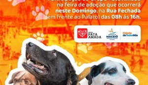 Feira de Adoção de animais volta à Rua Aberta neste domingo (31)
