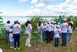 Projeto ambiental da Braskem é criticado