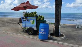 Em um mês, coleta seletiva do coco recolheu mais de 90 toneladas