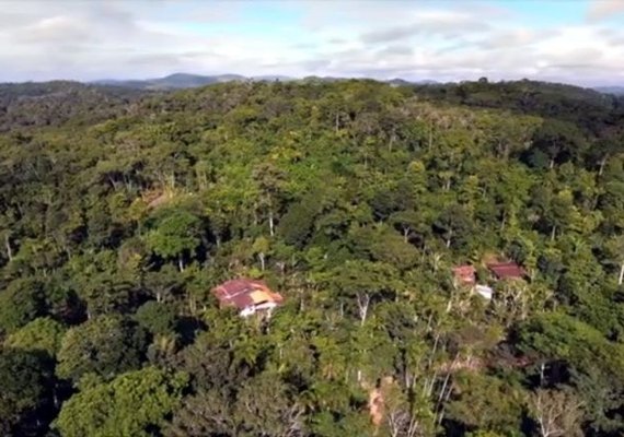 Pagamento por serviços ambientais é tema de audiência na Câmara dos Deputados