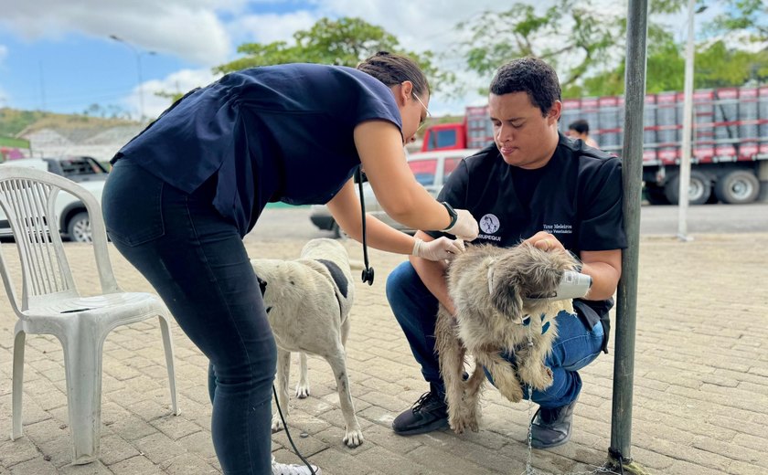 Viçosa recebe ação itinerante de Saúde & Bem-estar Animal