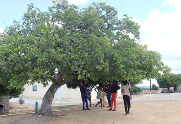 Decreto presidencial destina área para território quilombola em Alagoas