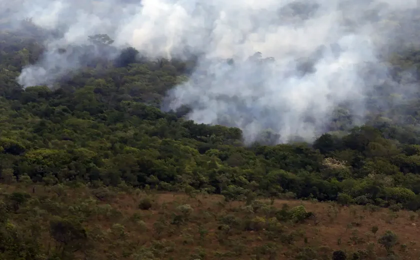 Copernicus: emissão global de gases por incêndios é a menor em 24 anos