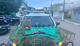 Polícia Militar apreende arma de fogo, animais silvestres e realiza soltura em Alagoas