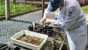 Ufal integra projeto campeão de prêmio nacional de preservação ao Meio Ambiente