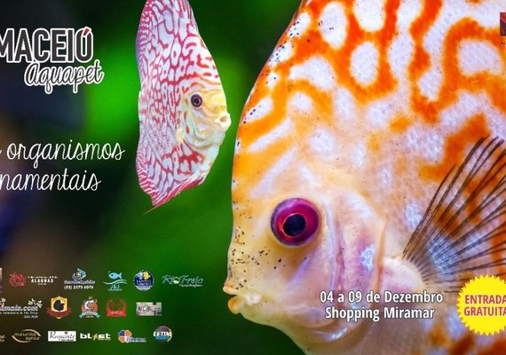 Exposição de peixes ornamentais será realizada pela primeira vez em Maceió