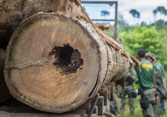Desmatamento ameaça áreas protegidas da Bacia do Rio Xingu