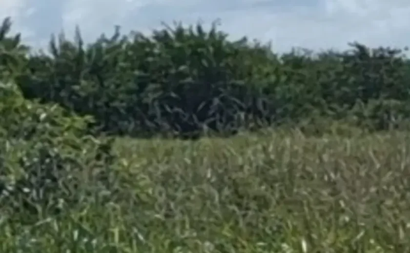 Suspeitos de assaltar joalheria em Mata Grande são presos após perseguição de 200 km
