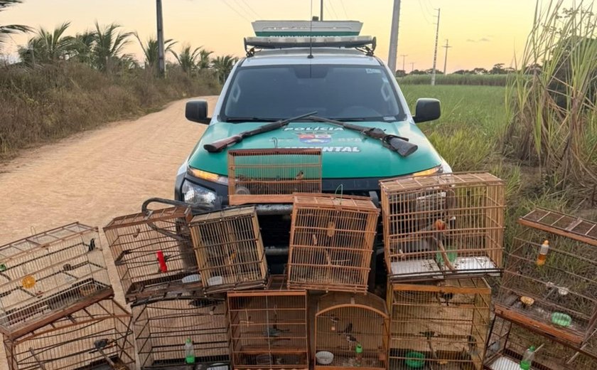 PM/AL apreende duas armas de fogo e resgata 59 animais silvestres em ações de fiscalização