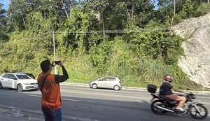 Defesa Civil de Maceió recomenda retirada de árvores em áreas de risco e próximas à rede elétrica
