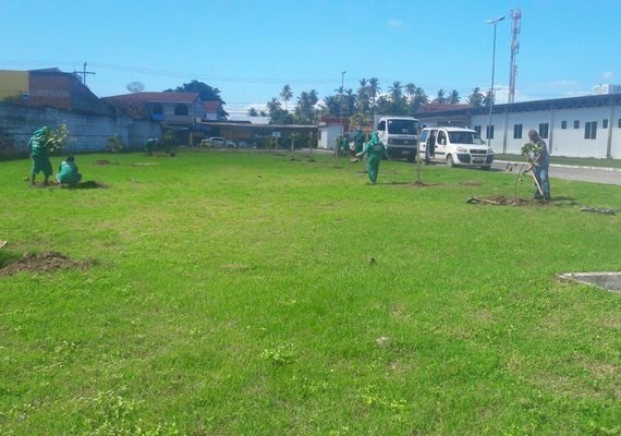 UPA do Trapiche da Barra e Prefeitura realizam plantio de árvores