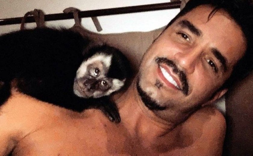 Morre após ser atropelado Twelves, macaco de Latino