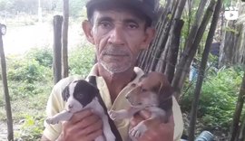 VÍDEO: o drama de um homem pobre que cria cerca de 50 animais abandonados e que a Prefeitura ignora seu trabalho