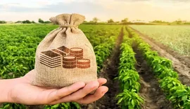 Financiamentos para indústria e agroindústria crescem 150% em Alagoas