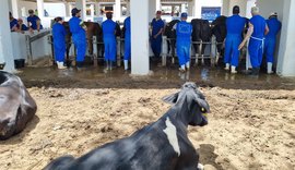 Pequenos produtores rurais participam de curso sobre inseminação artificial na Expo Bacia Leiteira